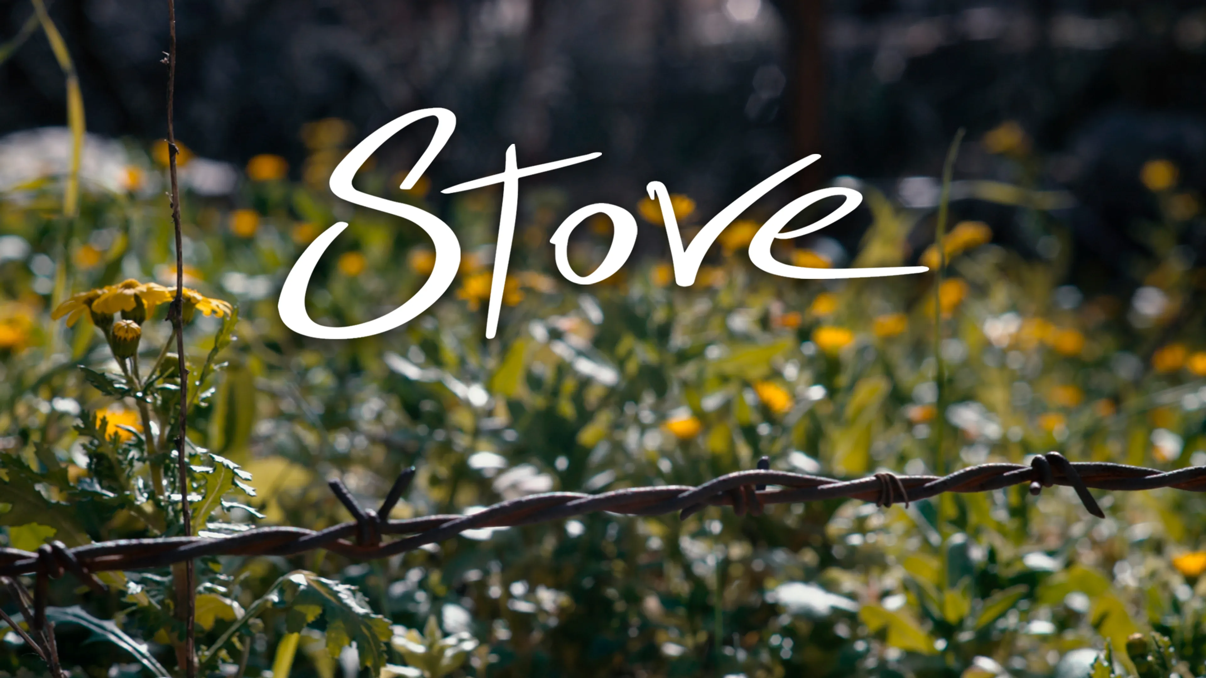 Stove poster